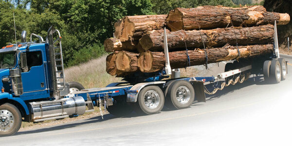 A blue semi truck hauling logs